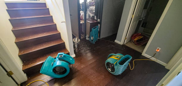Best Commercial water damage restoration  in Hillview, KY