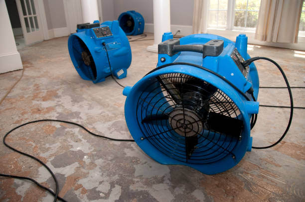Best Flood restoration services  in Hillview, KY